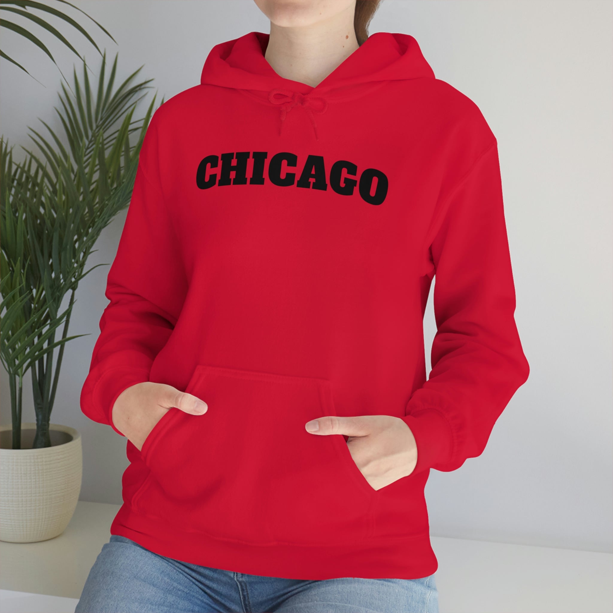 Champion deals chicago hoodie